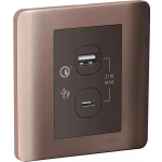 Schneider Electric 施耐德電氣 E8432ACQUSB_SZ_C5 Zencelo 兩位21W Type A+C PD+QC3.0 USB充電插座 (銀銅)